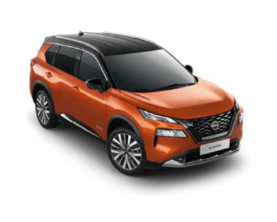 ORANŽOVÁ - ČIERNA (XEV)